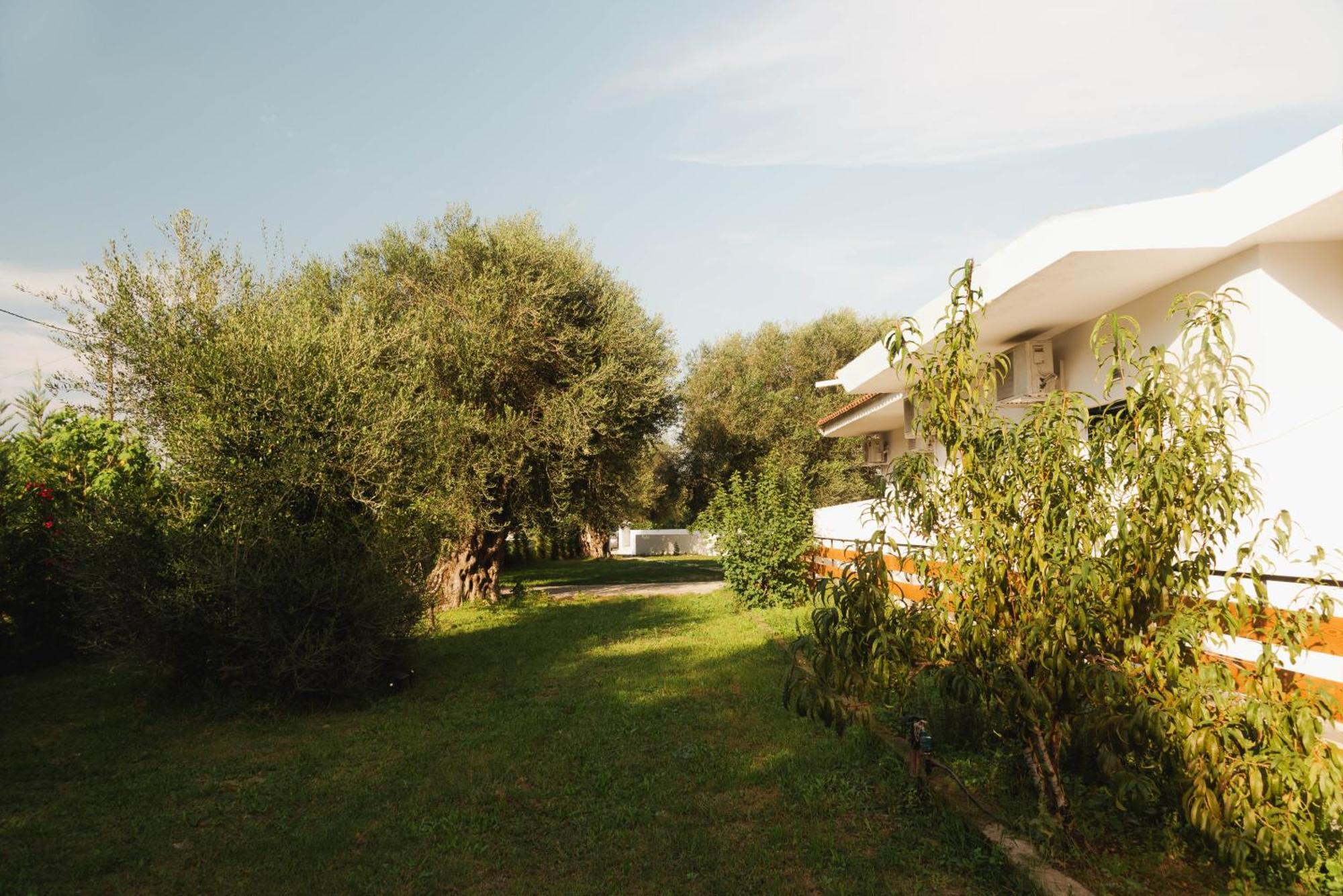 Olive Grove Suites Boutique Hotel โมไรตีกา ภายนอก รูปภาพ